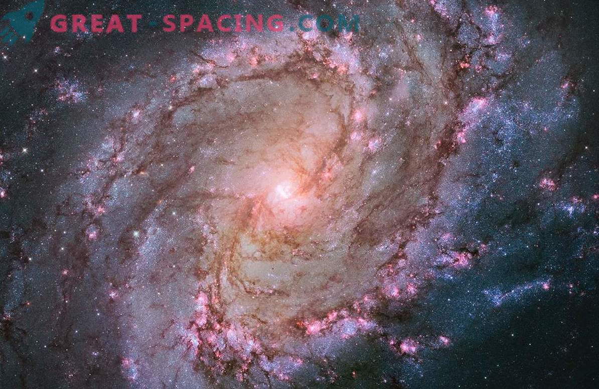 Телескопот Хабл го покажа животот на ѕвездите во галаксијата на Јужниот флип.