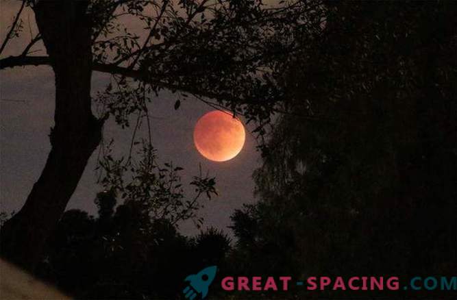 Зашеметувачката крвна месечина го погоди светот: слика