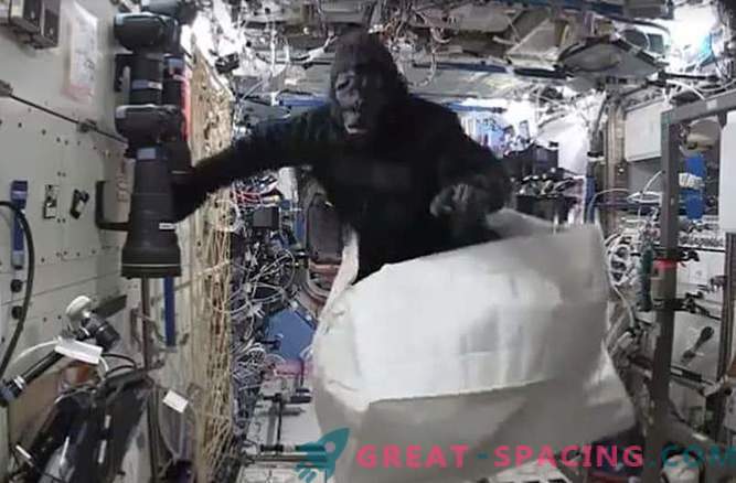 Астронаутот се пошегува со помош на костим на мајмун на вселенската станица
