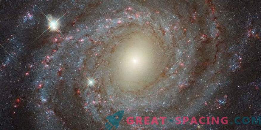 Осамена убавина NGC 3344