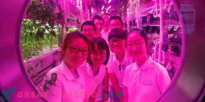 Кинески волонтери поминаа 200 дена во виртуелна 