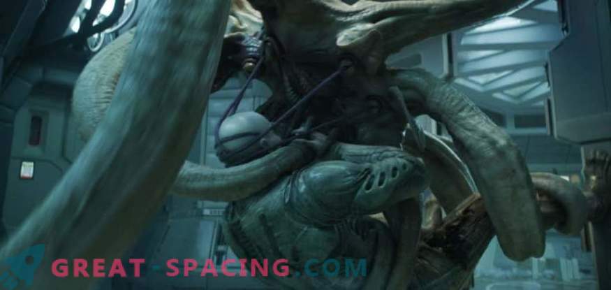 Зошто вонземските суштества во научната фантастика прикажуваат со пипалата