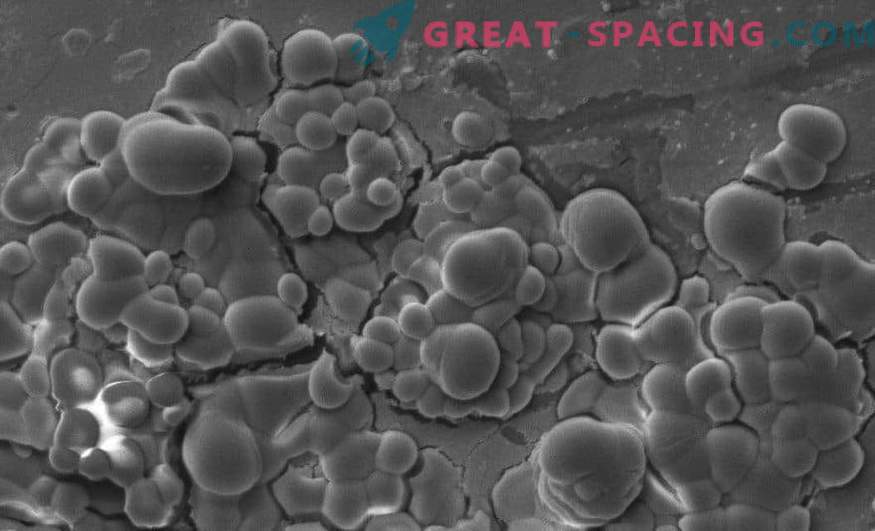 Отпечатоци од микроби на карпи од Марс