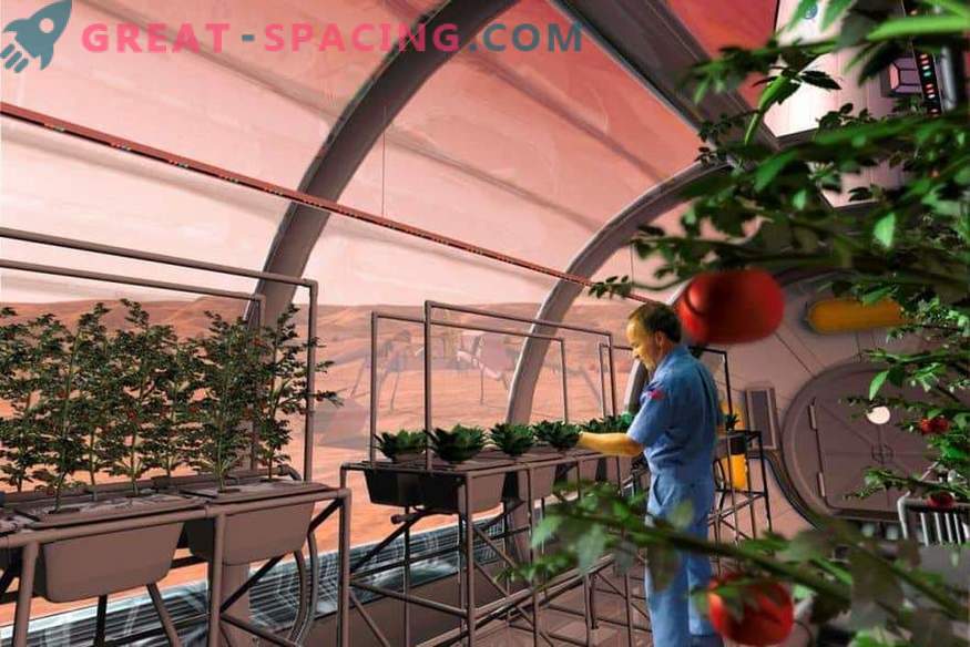 Дали НАСА ќе испрати растенија на Марс?