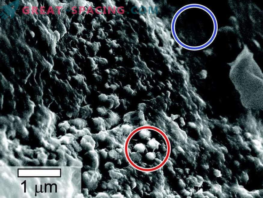 Животот е откриен во примероци на Марс метеорит